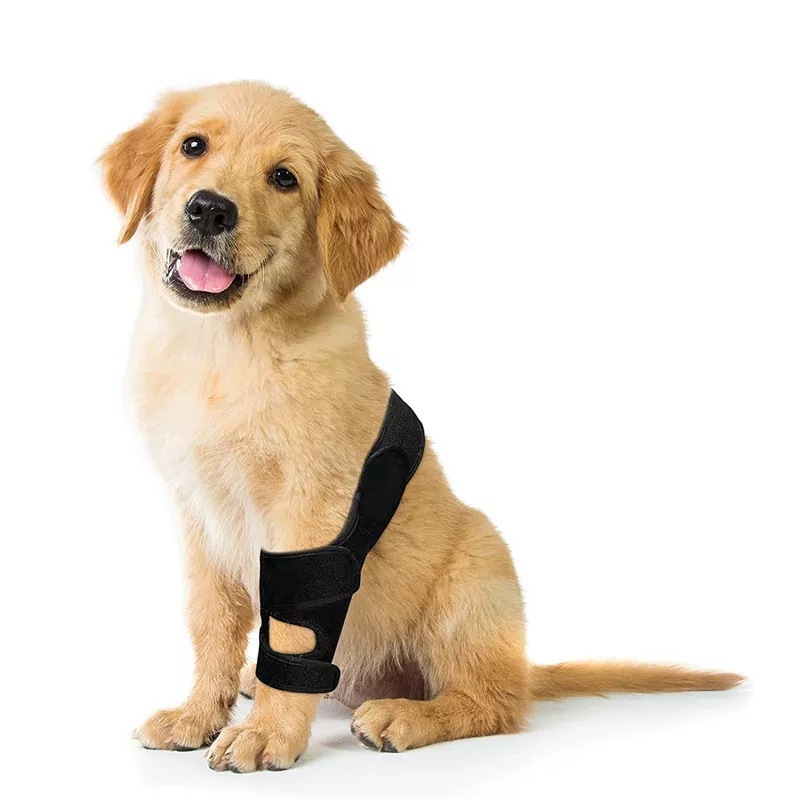 Órtese Ajustável para Cães: Su - Car Accessories For Elderly avaliação e preço