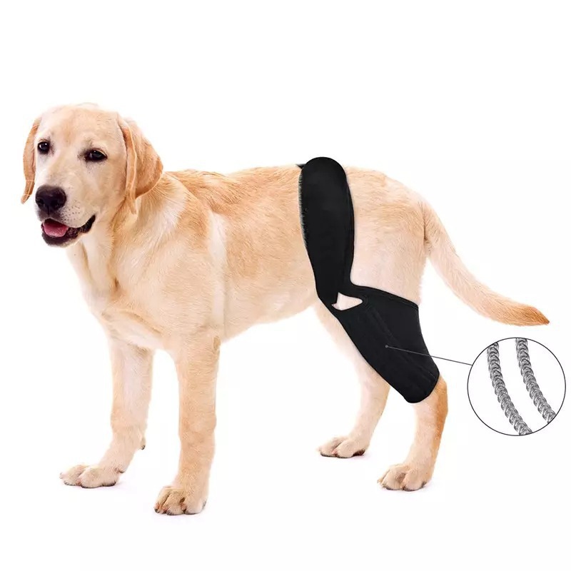 Órtese Ajustável para Cães: Su - Car Accessories For Elderly avaliação e preço